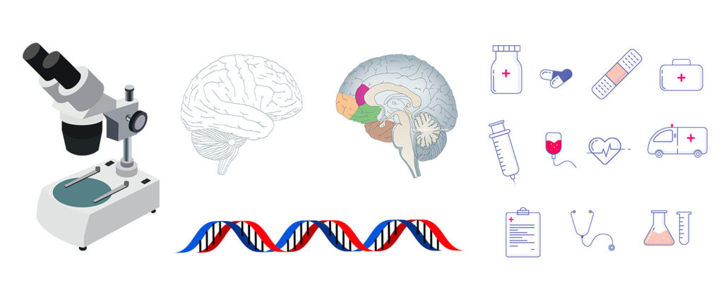 Example of scientific illustrations found on pixabay.